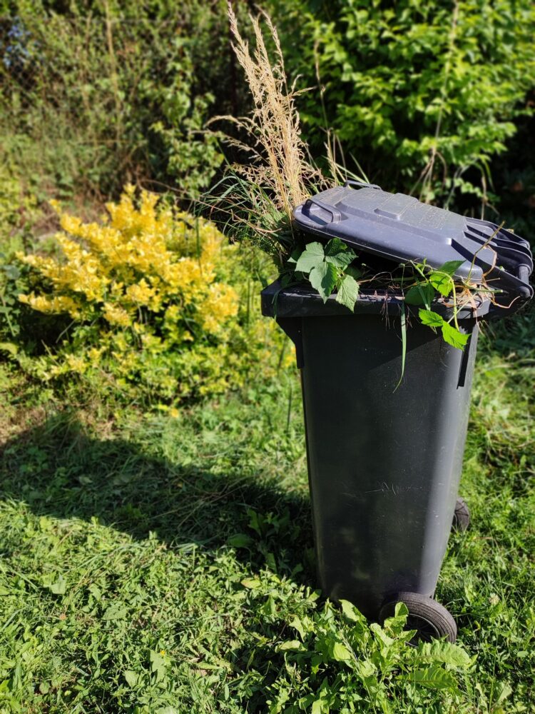 Rudenį tvarkomos žaliosios atliekos, surenkami nukritę lapai, šakos ir kitos sodo atliekos.